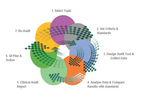 Clinical Audit Cyle image